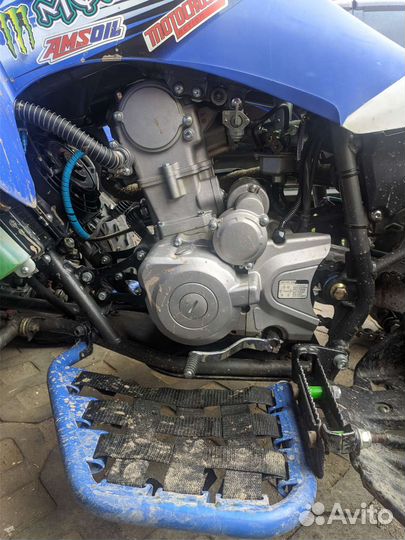 Panthera 250s