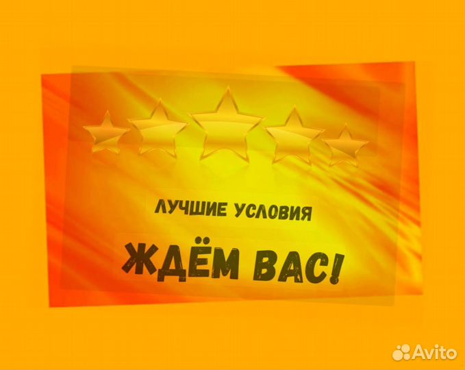 Комплектовщик Спецодежда Еженедельный аванс М/Ж