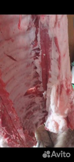 Мясо свинина домашняя