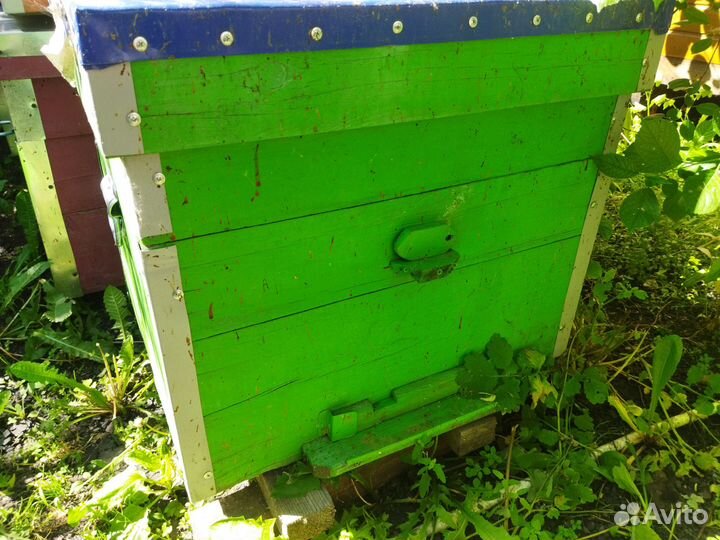 Продаю улья