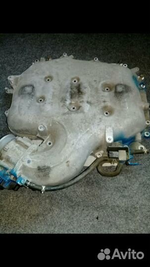 Infiniti м35y50 Nissan Fuga