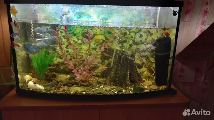 Украшения для аквариума