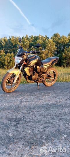 Recer nitro 250