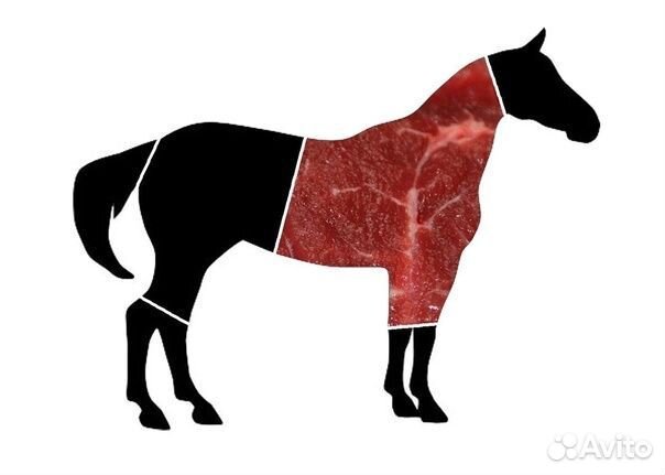 Конина молодая (160-кг)