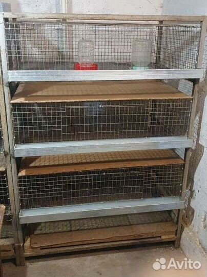 Клетка из 3 уровней для цыплят
