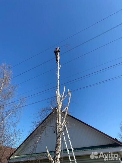 Спиливание,кронировани,измельчение деревьев
