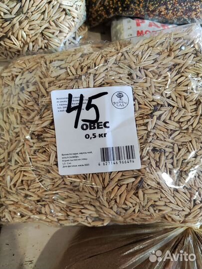 Фацелия горчица овёс гречиха вика седераты