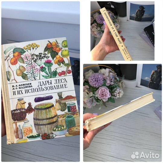 Лекарственные травы растения книги