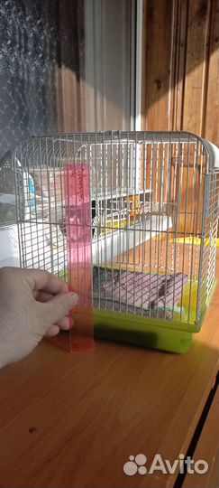 Клетка для хомяка бу