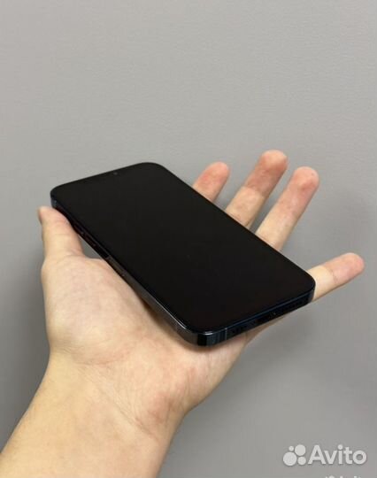 iPhone 12 Pro Max, 256 ГБ
