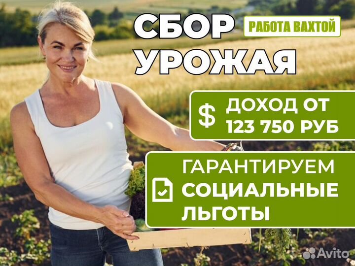 Сборщица овощей. Урожай женщины