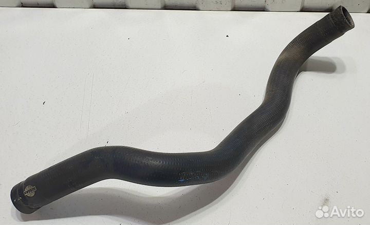 Патрубок радиатора Nissan Almera N16, Primera P12