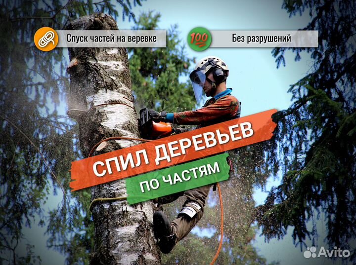 Спил и кронирование деревьев, расчистка участков