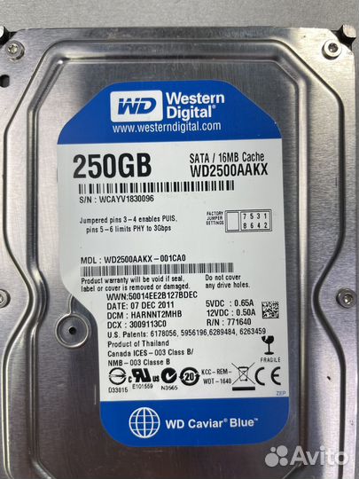 WD Caviar Blue, 250Gb, HDD, SATA III, 3.5