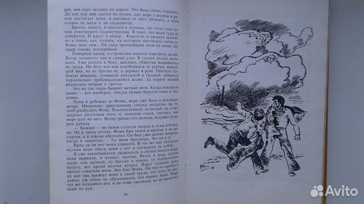 Мухина-Петринская Смотрящие вперед. Обсерватория в