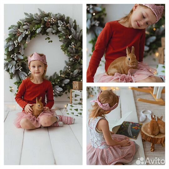 Фотосессия