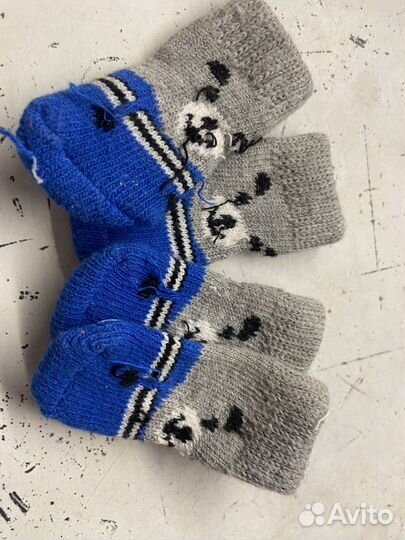 Носочки для животных