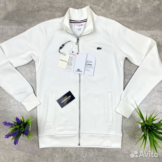 Джемпер Lacoste