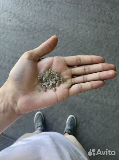 Вторичная гранула пвд пнд пп