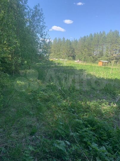 Участок 10 сот. (СНТ, ДНП)