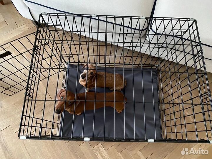 Клетка для собак