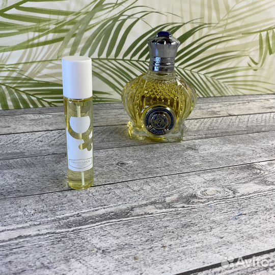 Shaik Chic N0 30 Shaik (3032) 25ml