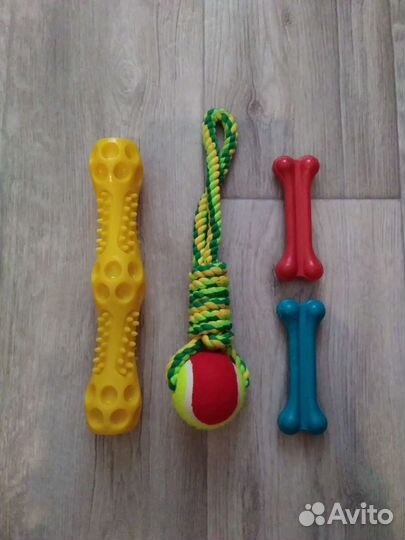 Игрушки, обувь и ошейник для собак