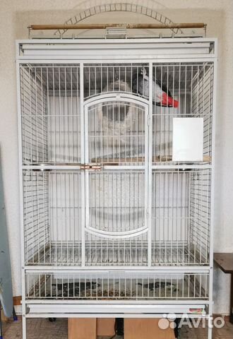 Клетка для крупных попугаев Triol BC22 купить в Москве | Животные и ...