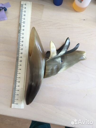 Лось из рога