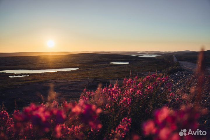Путешествие в Териберку с детьми