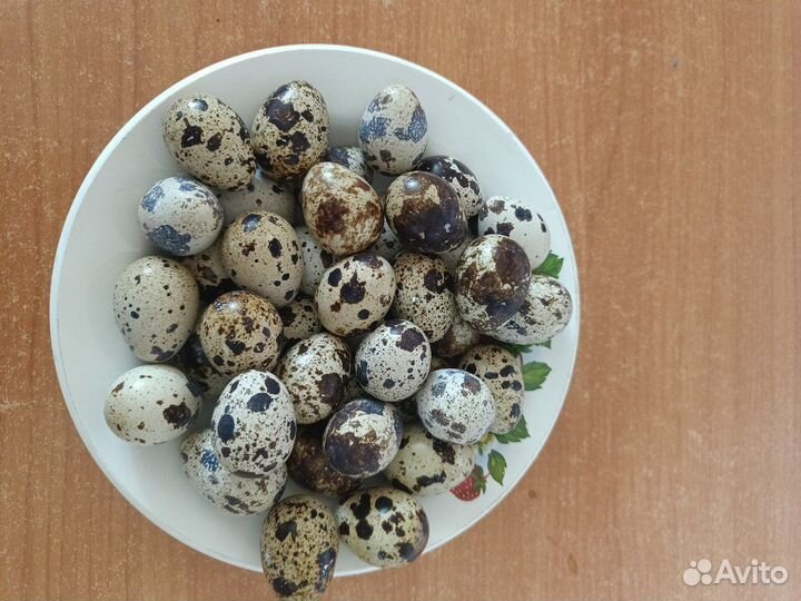 Яйца перепелиные домашние