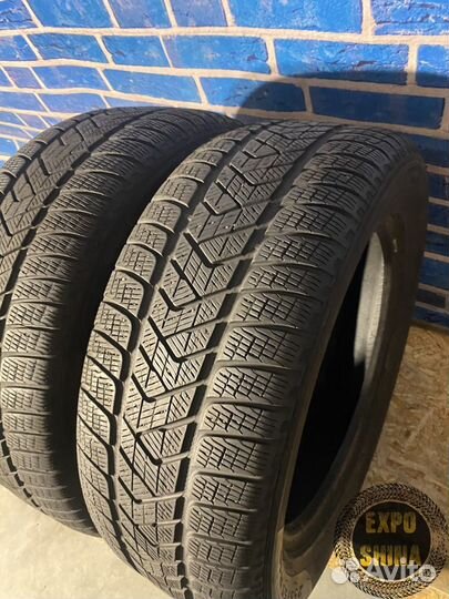 Pirelli Scorpion Winter 255/55 R19