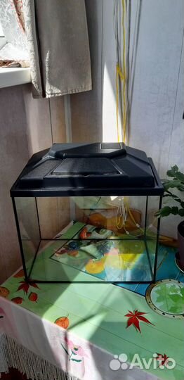 Животные/Аквариум