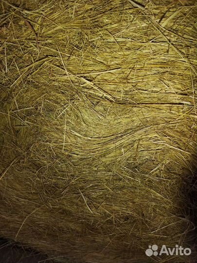 Сено свежое в рулонах местное