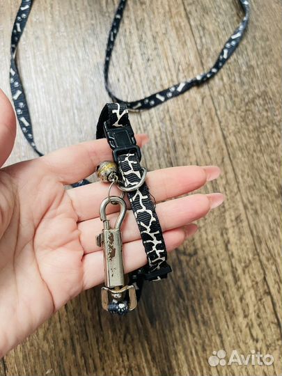 Поводок для собаки или кошки