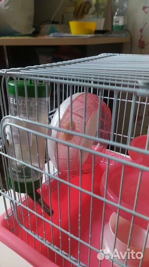 Клетка для грызунов