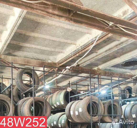 Tigar Winter 215/50 R17 98H