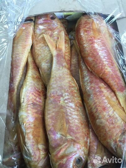 Рыба,икра морепродукты