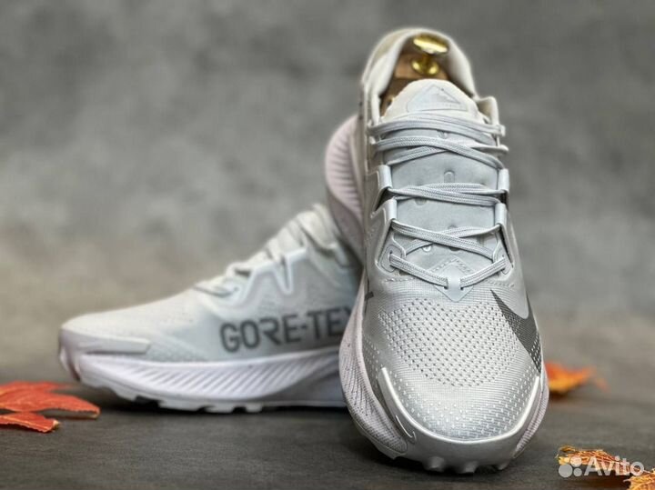 Nike pegasus traill 2 (45)