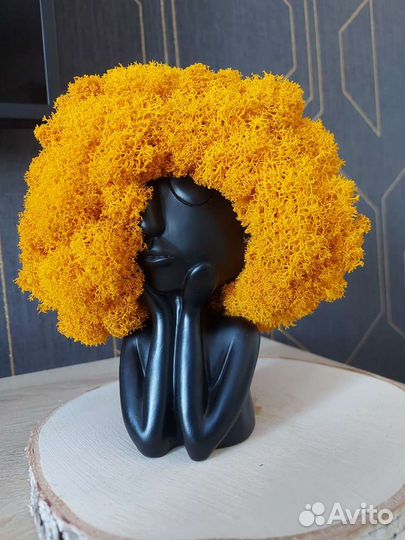 Композиции из стабилизированного мха