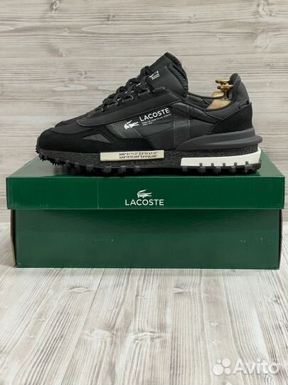 Кроссовки мужские Lacoste Sport 41,42,43,44,45