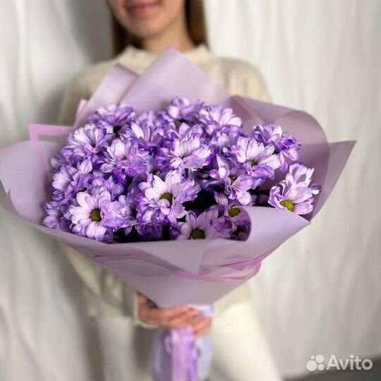 Букет из сиреневых хризантемх