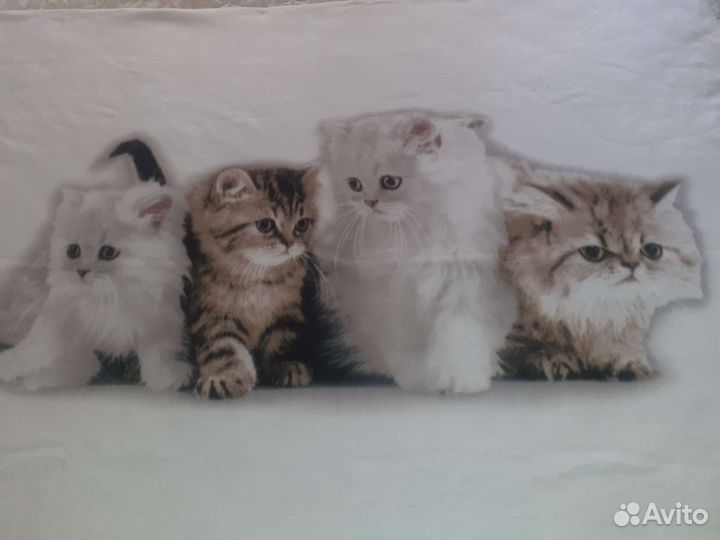 Новый Белоснежный плед с котятами.175х135см в упак