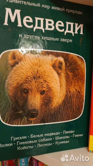 Книги, учебники