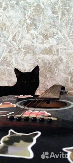 Электроакустическая гитара JET