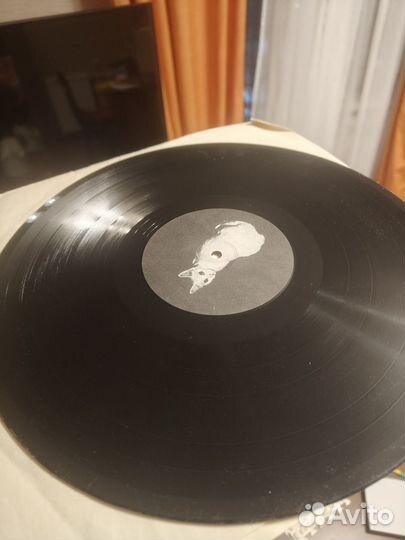 Виниловая пластинка Зоопарк 