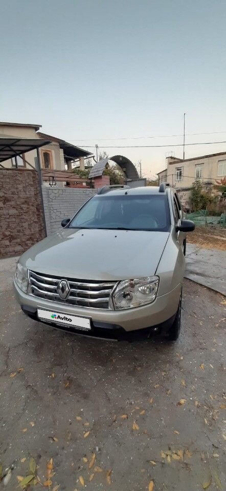 Renault Duster: фото владельца