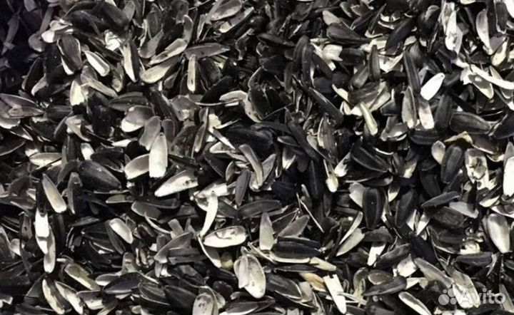 Лузга подсолнечника