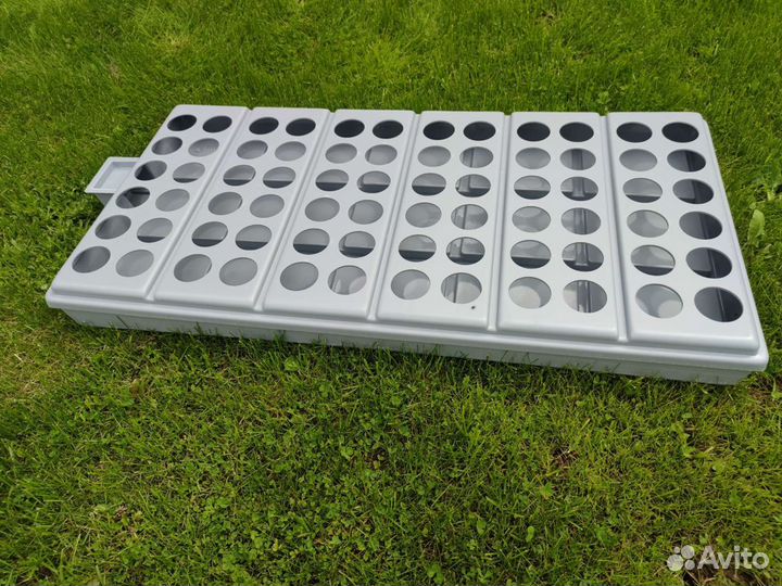 Поддон лоток для микрозелени гидропоники 98x48