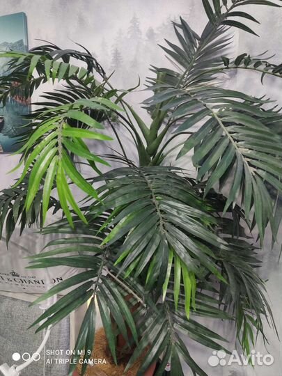 Искусственная пальма